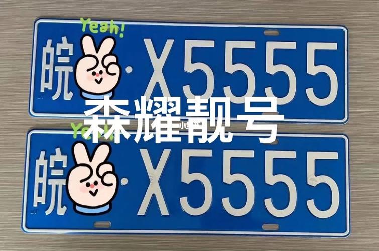 天津车牌豹子购买渠道？车牌号怎么买靓号？-第3张图片-车牌靓号网