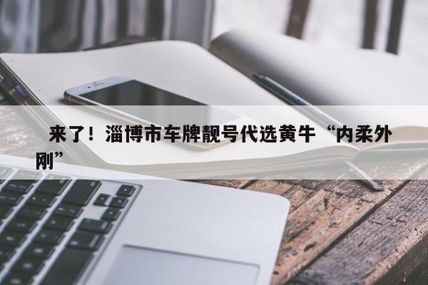 淄博车牌靓号大全及价格表？车牌靓号找黄牛有用吗？-第1张图片-车牌靓号网