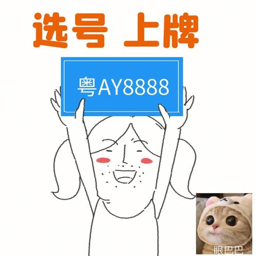 三明自编号牌怎么弄到好号？车牌靓号购买？-第1张图片-车牌靓号网