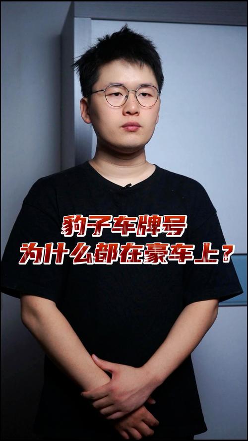 无锡豹子车牌号多少钱能买？买车牌号去哪里买？-第3张图片-车牌靓号网