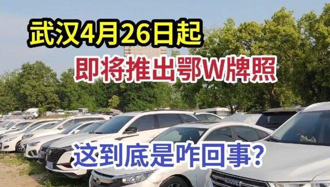 塔城阿勒泰选车牌可以找黄牛吗？车牌靓号现在还能买吗？-第3张图片-车牌靓号网