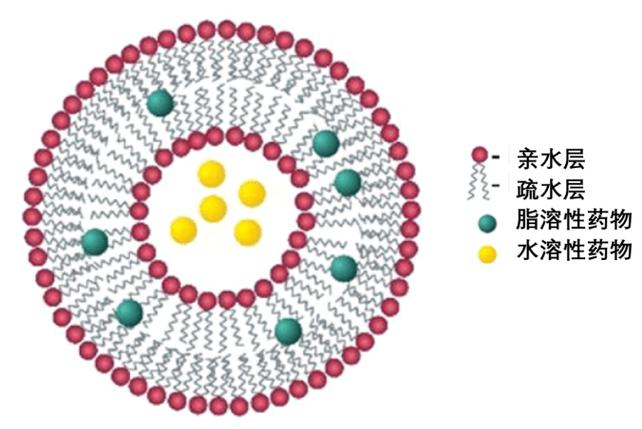 干美！绵阳市车牌靓号可以买吗“酸我体”-第2张图片-车牌靓号网