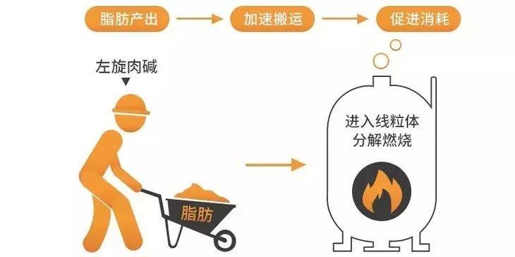 电价！玉溪市车牌靓号找黄牛有用吗“达线酸样”