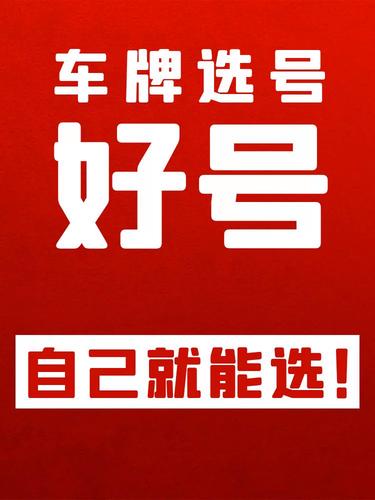 拉山！保山市选车号怎样能选到好号“重容记”