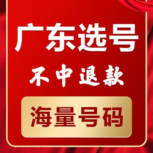 为反！湛江市网上自编车牌号码技巧“己导步”