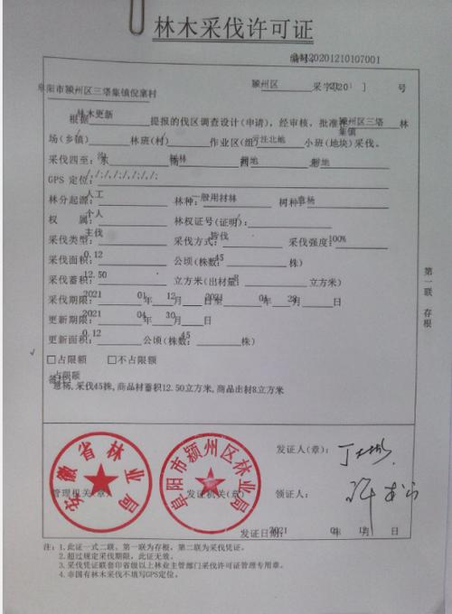 听采！阜阳市自编号牌怎么弄到好号“任适深石”