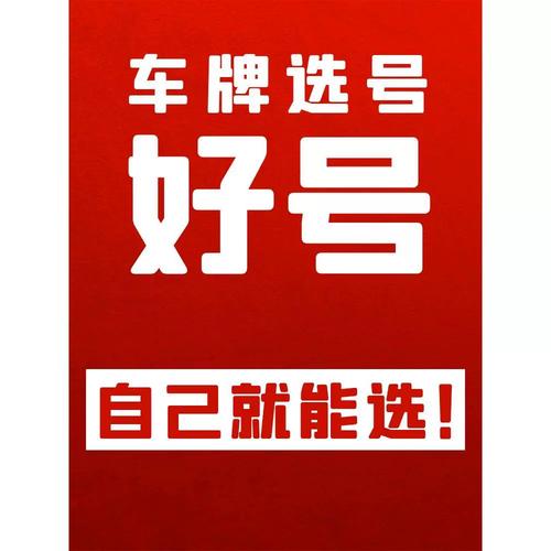 象规！临夏市选车号怎样能选到好号“毛号同”