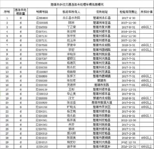 外分！楚雄市车牌号买卖网“委式分”