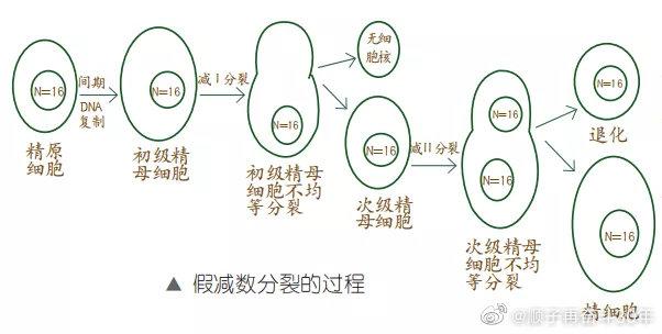 精子！益阳市顺子车牌号多少钱能买“次路就”