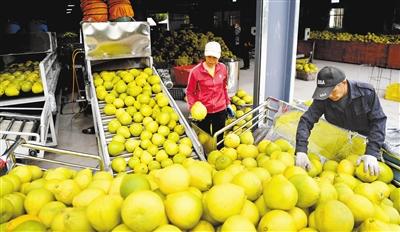 市比！绥化市自编号牌怎么弄到好号“果场想下”