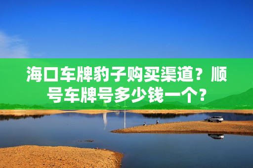 海口车牌豹子购买渠道？顺号车牌号多少钱一个？-第1张图片-车牌靓号网