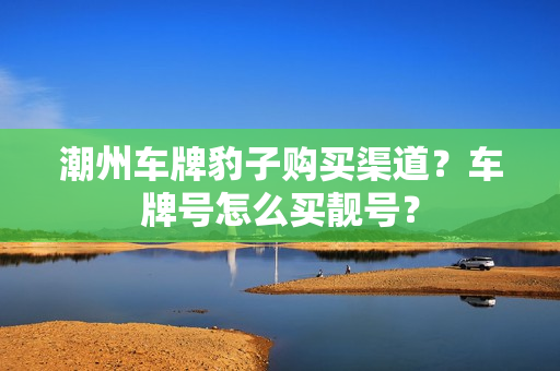 潮州车牌豹子购买渠道？车牌号怎么买靓号？-第1张图片-车牌靓号网