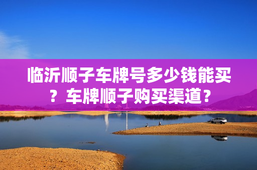 临沂顺子车牌号多少钱能买？车牌顺子购买渠道？-第1张图片-车牌靓号网