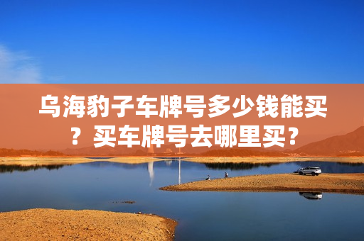 乌海豹子车牌号多少钱能买？买车牌号去哪里买？-第1张图片-车牌靓号网