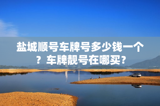 盐城顺号车牌号多少钱一个？车牌靓号在哪买？-第1张图片-车牌靓号网