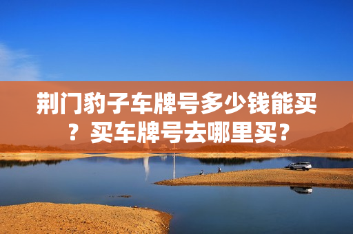 荆门豹子车牌号多少钱能买？买车牌号去哪里买？-第1张图片-车牌靓号网