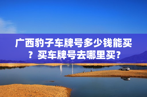 广西豹子车牌号多少钱能买？买车牌号去哪里买？-第1张图片-车牌靓号网