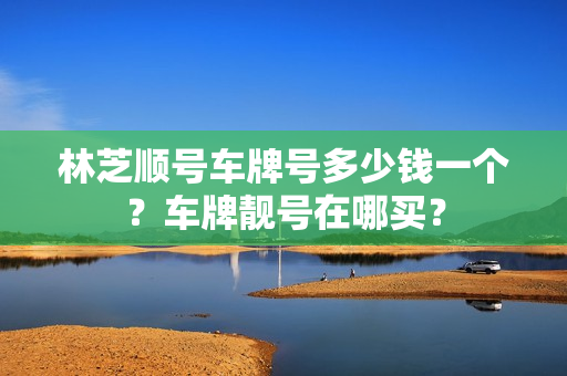 林芝顺号车牌号多少钱一个？车牌靓号在哪买？-第1张图片-车牌靓号网