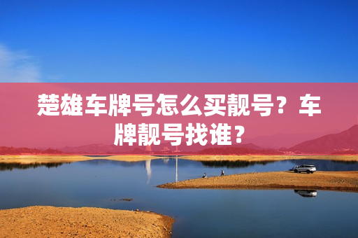 楚雄车牌号怎么买靓号？车牌靓号找谁？-第1张图片-车牌靓号网