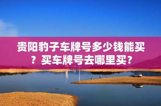 贵阳豹子车牌号多少钱能买？买车牌号去哪里买？-第1张图片-车牌靓号网