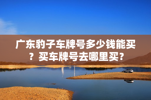 广东豹子车牌号多少钱能买？买车牌号去哪里买？-第1张图片-车牌靓号网