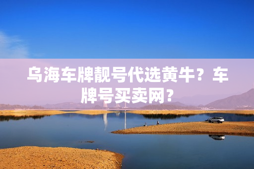 乌海车牌靓号代选黄牛？车牌号买卖网？-第1张图片-车牌靓号网