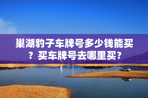 巢湖豹子车牌号多少钱能买？买车牌号去哪里买？-第1张图片-车牌靓号网