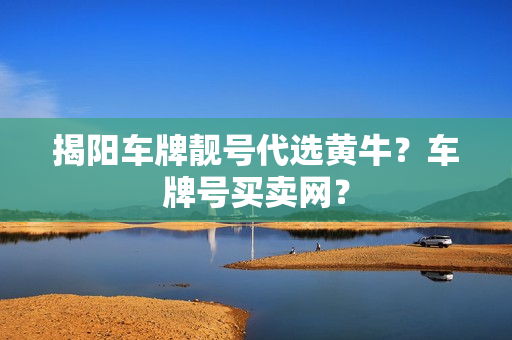 揭阳车牌靓号代选黄牛？车牌号买卖网？-第1张图片-车牌靓号网