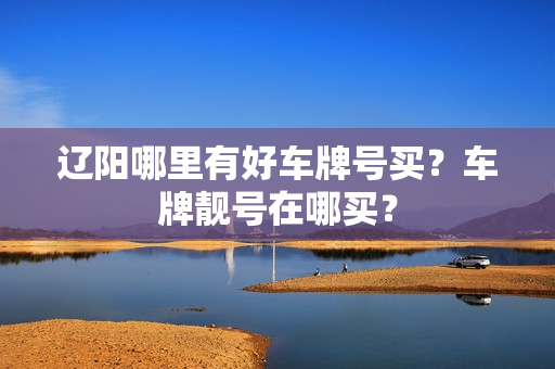 辽阳哪里有好车牌号买？车牌靓号在哪买？-第1张图片-车牌靓号网