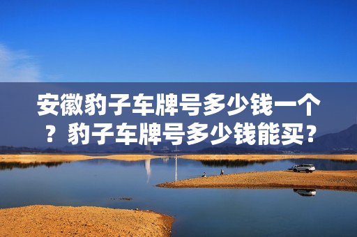 安徽豹子车牌号多少钱一个？豹子车牌号多少钱能买？-第1张图片-车牌靓号网