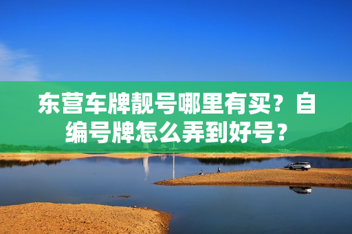 东营车牌靓号哪里有买？自编号牌怎么弄到好号？-第1张图片-车牌靓号网