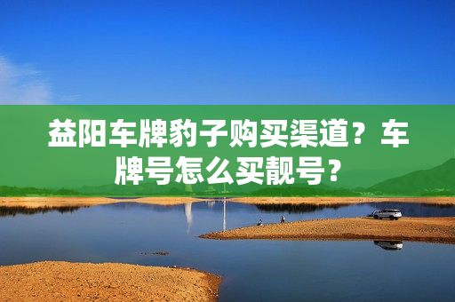 益阳车牌豹子购买渠道？车牌号怎么买靓号？-第1张图片-车牌靓号网