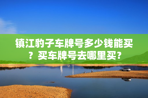 镇江豹子车牌号多少钱能买？买车牌号去哪里买？-第1张图片-车牌靓号网