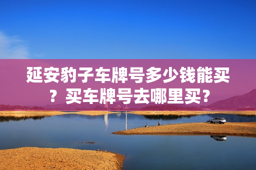 延安豹子车牌号多少钱能买？买车牌号去哪里买？-第1张图片-车牌靓号网