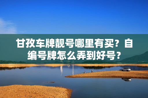 甘孜车牌靓号哪里有买？自编号牌怎么弄到好号？-第1张图片-车牌靓号网