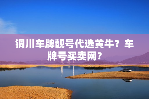 铜川车牌靓号代选黄牛？车牌号买卖网？-第1张图片-车牌靓号网