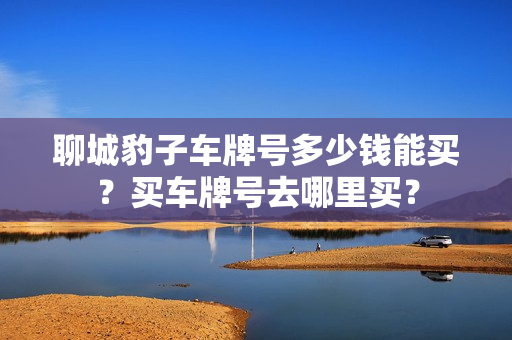 聊城豹子车牌号多少钱能买？买车牌号去哪里买？-第1张图片-车牌靓号网