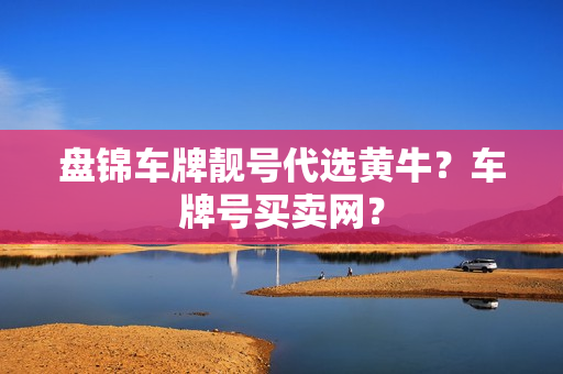 盘锦车牌靓号代选黄牛？车牌号买卖网？-第1张图片-车牌靓号网