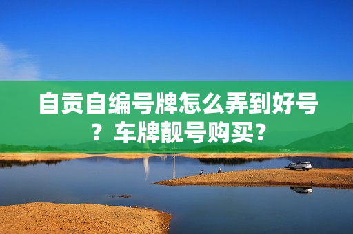 自贡自编号牌怎么弄到好号？车牌靓号购买？-第1张图片-车牌靓号网