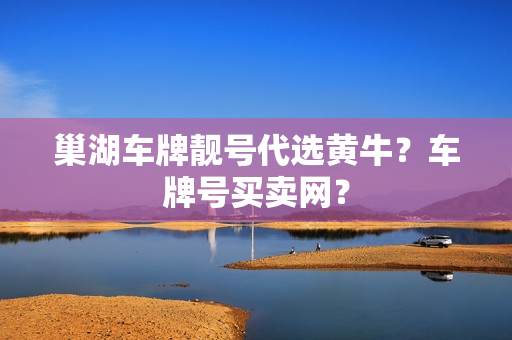 巢湖车牌靓号代选黄牛？车牌号买卖网？-第1张图片-车牌靓号网