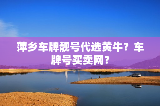 萍乡车牌靓号代选黄牛？车牌号买卖网？-第1张图片-车牌靓号网