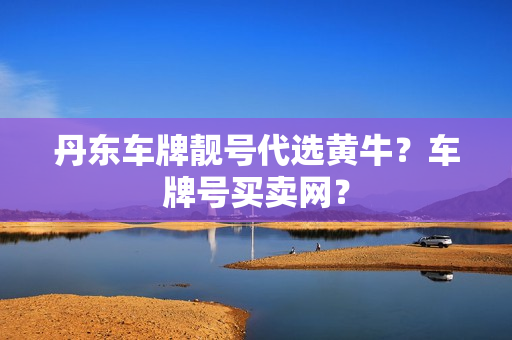 丹东车牌靓号代选黄牛？车牌号买卖网？-第1张图片-车牌靓号网