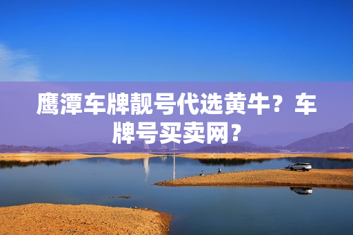 鹰潭车牌靓号代选黄牛？车牌号买卖网？-第1张图片-车牌靓号网