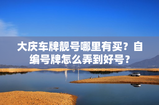 大庆车牌靓号哪里有买？自编号牌怎么弄到好号？-第1张图片-车牌靓号网