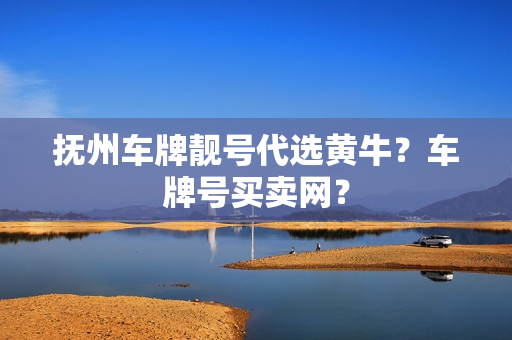 抚州车牌靓号代选黄牛？车牌号买卖网？-第1张图片-车牌靓号网