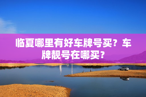 临夏哪里有好车牌号买？车牌靓号在哪买？-第1张图片-车牌靓号网