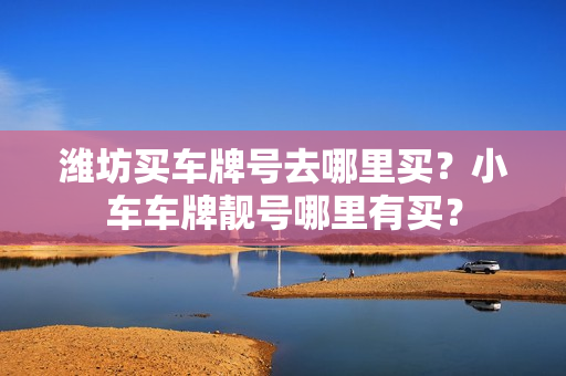 潍坊买车牌号去哪里买？小车车牌靓号哪里有买？-第1张图片-车牌靓号网