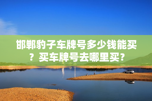 邯郸豹子车牌号多少钱能买？买车牌号去哪里买？-第1张图片-车牌靓号网