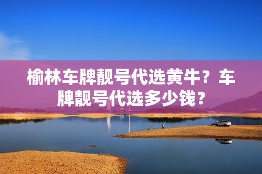 榆林车牌靓号代选黄牛？车牌靓号代选多少钱？-第1张图片-车牌靓号网