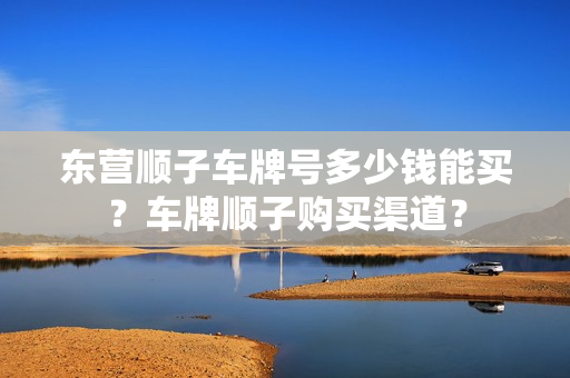 东营顺子车牌号多少钱能买？车牌顺子购买渠道？-第1张图片-车牌靓号网